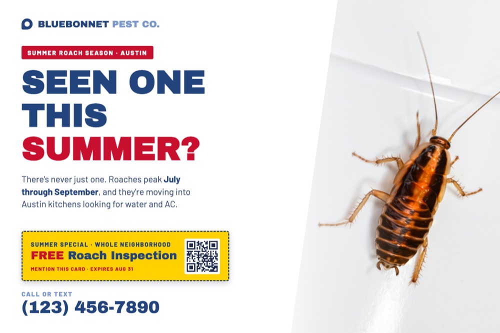 the seasonal card: summer roach blast postcard front example for pest control companies